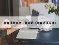 丽水黑客漫画素材下载网站（黑客动漫头像）