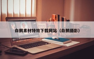 丽水白鹅素材特效下载网站（白鹅摄影）